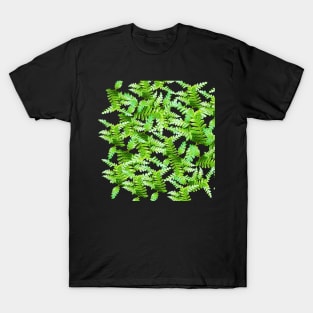 Fern Fronds en Masse T-Shirt